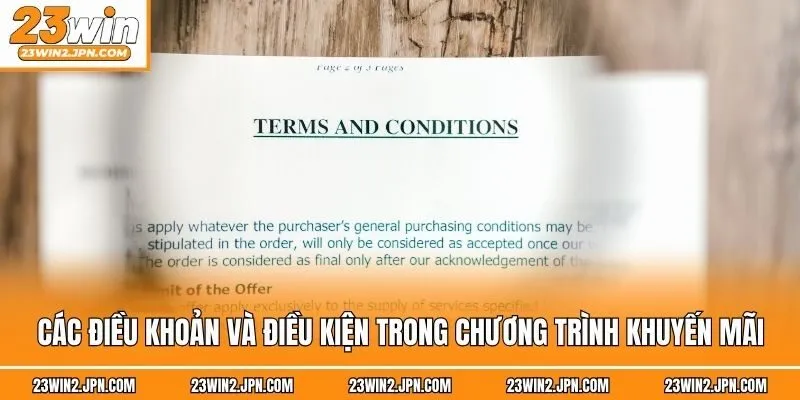 Các điều khoản và điều kiện trong chương trình khuyến mãi