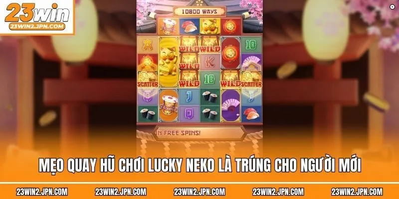 Mẹo quay hũ chơi Lucky Neko là trúng cho người mới